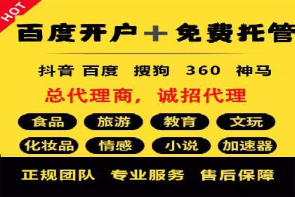 SEM代运营机构成功案例：优化策略与效果分析
